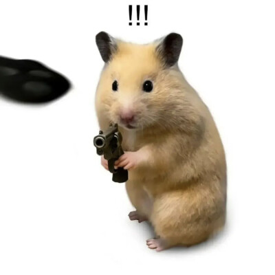 侵权删