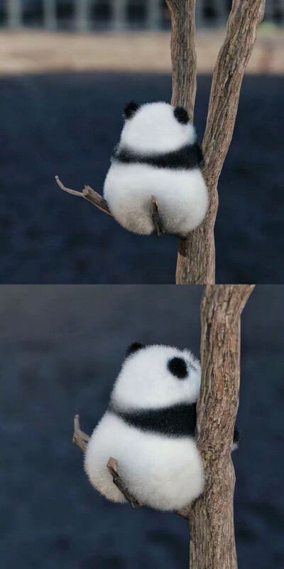 ～