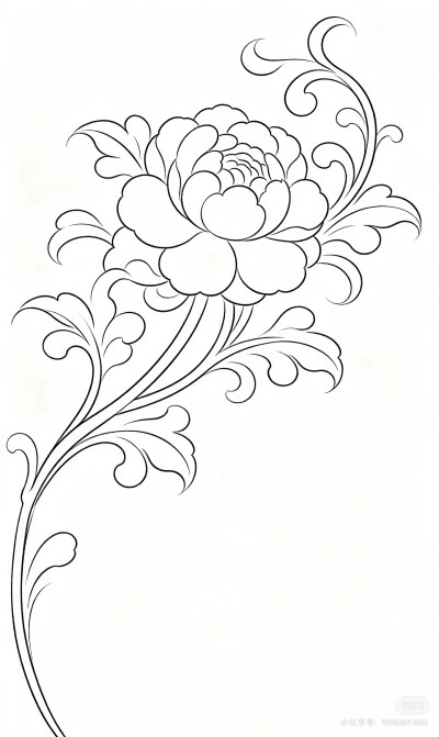 花卉