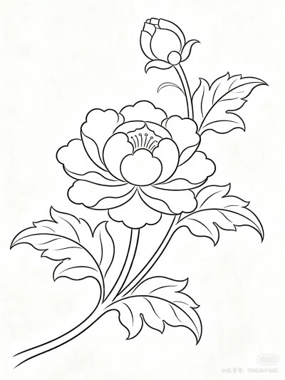 花卉