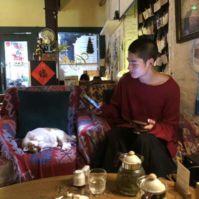 教司