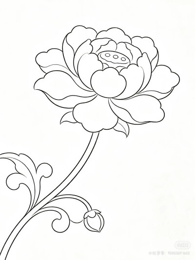 花卉