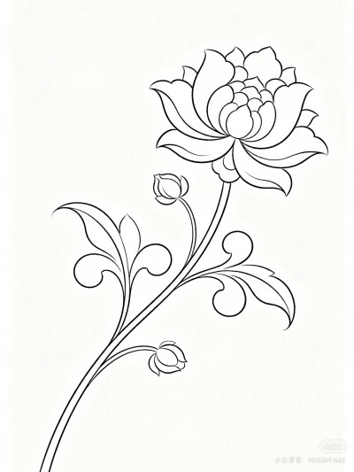 花卉