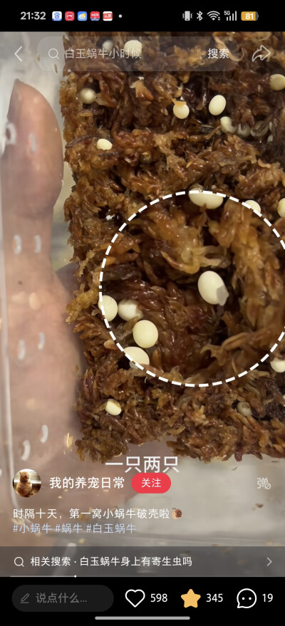 。