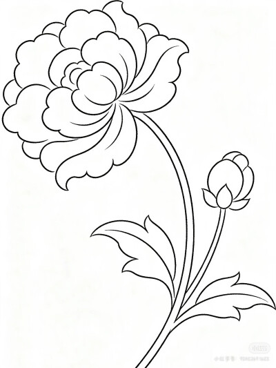 花卉