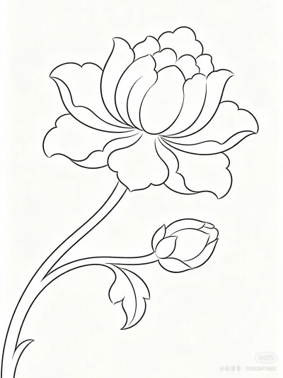 花卉