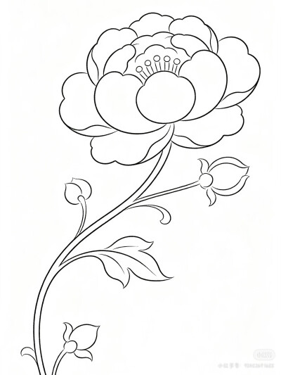 花卉