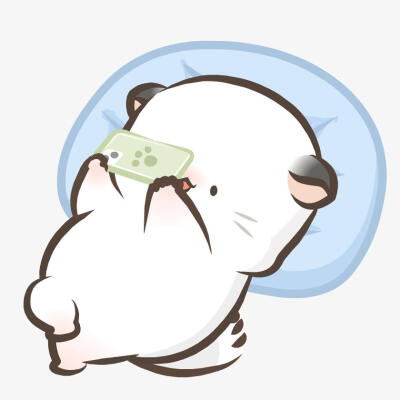 四毛和八毛