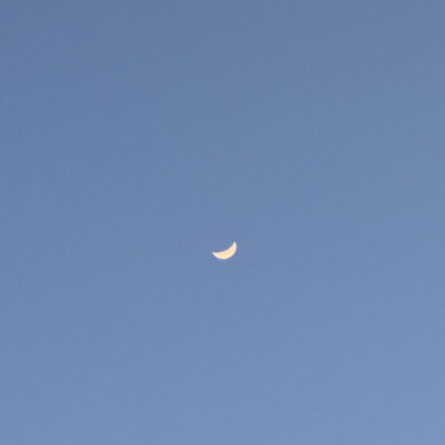 静夜思