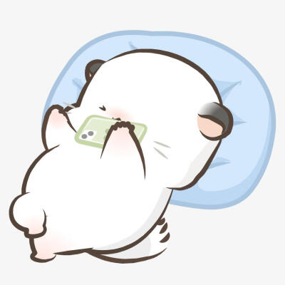 四毛和八毛