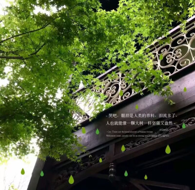 绿色系