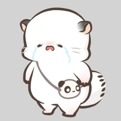四毛和八毛