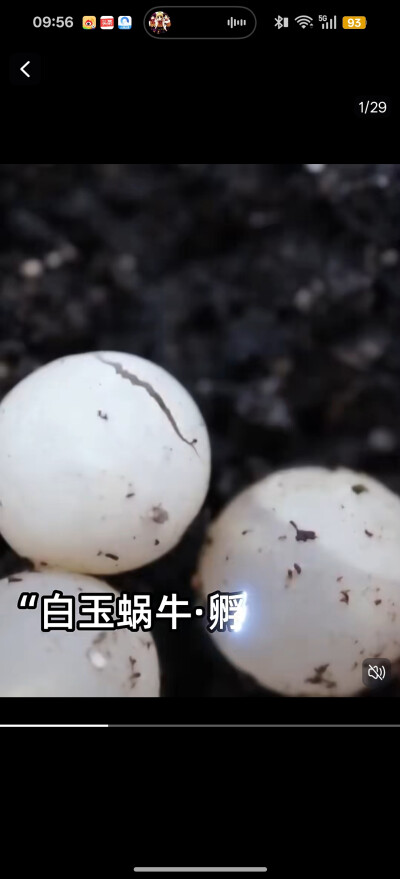 。