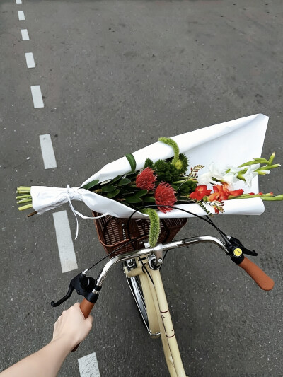 日常
狂奔到腐烂就好