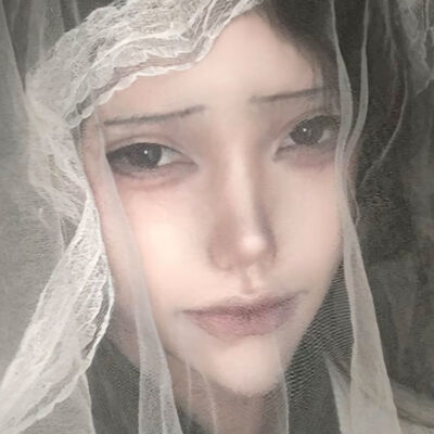 昙母