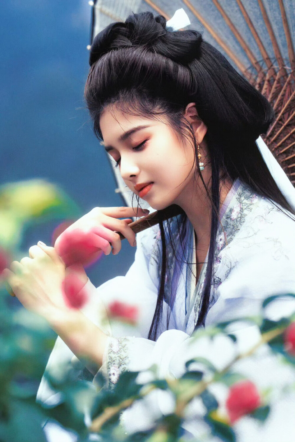 艾米