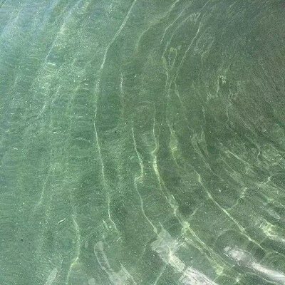 海