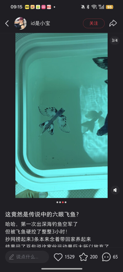 。