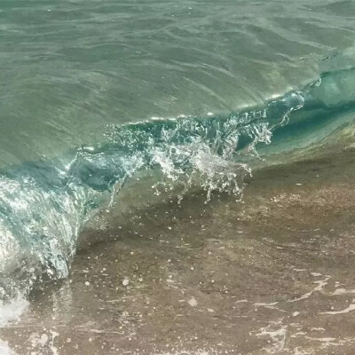 海