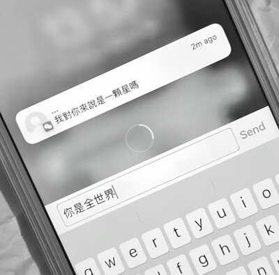 白色系