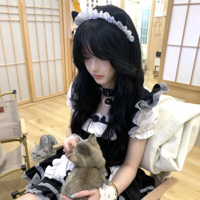 日系头像女真人头像氛围感 ins 风小猫
图源网络侵删
二传请关注拿图 自用随意