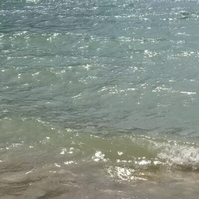 海