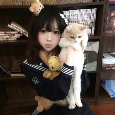 日系头像女真人头像氛围感 ins 风小猫
图源网络侵删
二传请关注拿图 自用随意