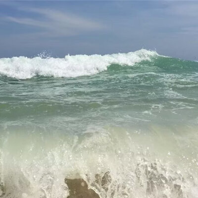 海
