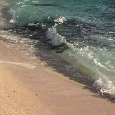海