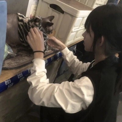日系头像女真人头像氛围感 ins 风小猫
图源网络侵删
二传请关注拿图 自用随意
