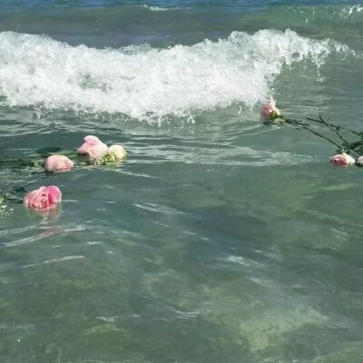 海