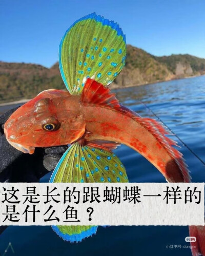 。