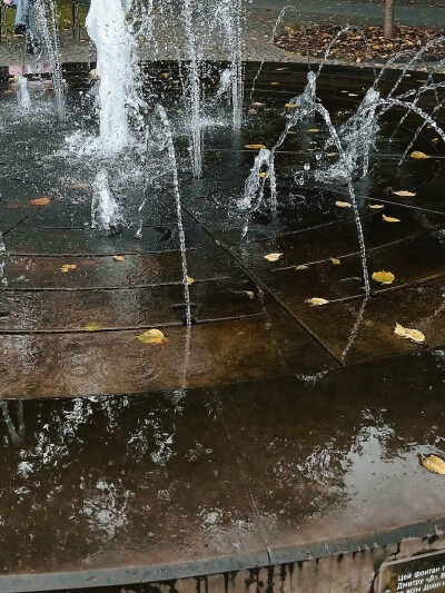 日常
嘘声