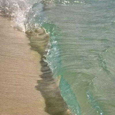 海