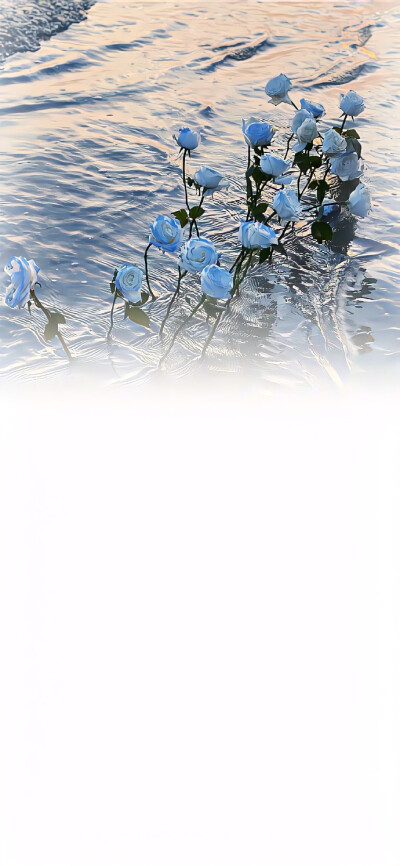 壁纸