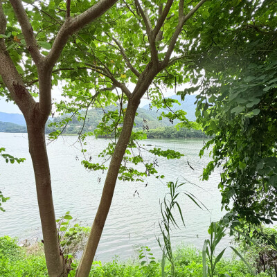 背景