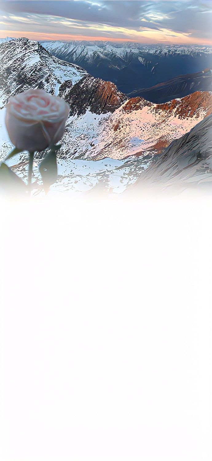 壁纸