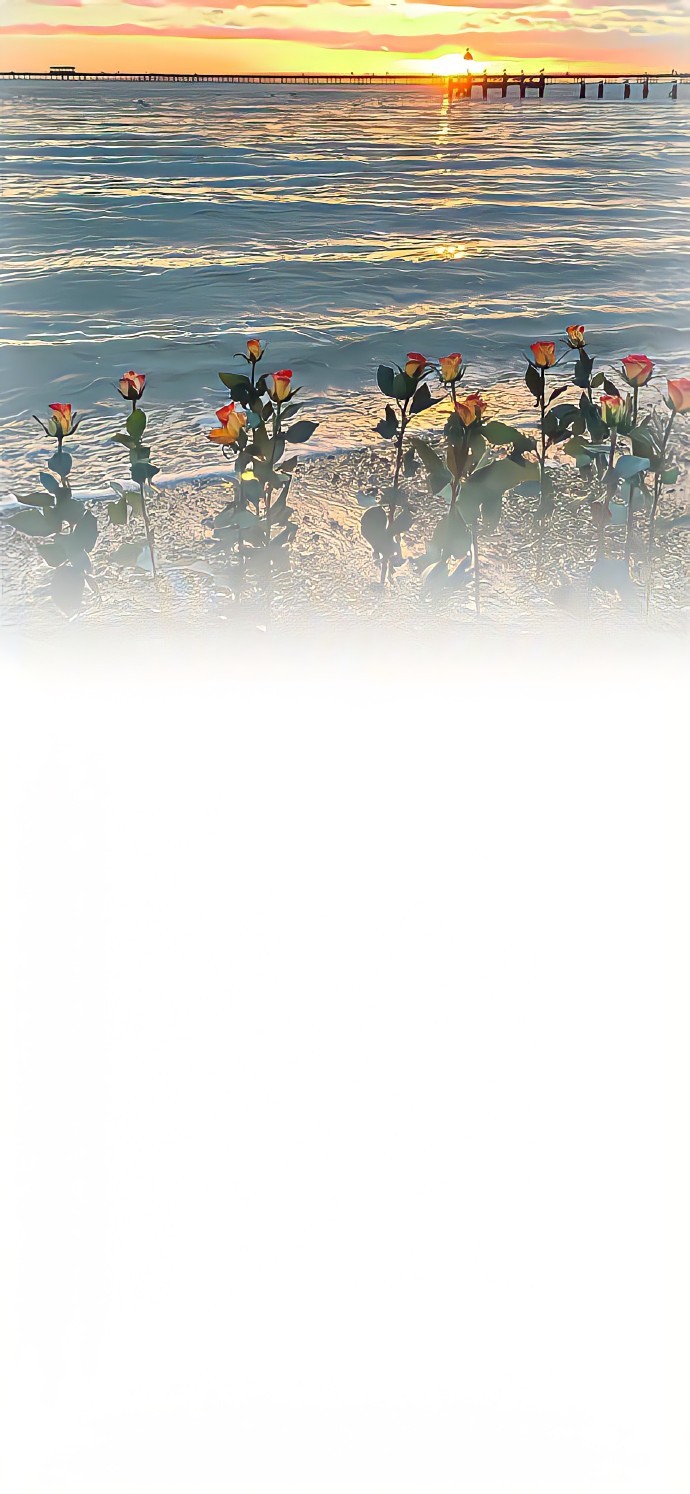 壁纸