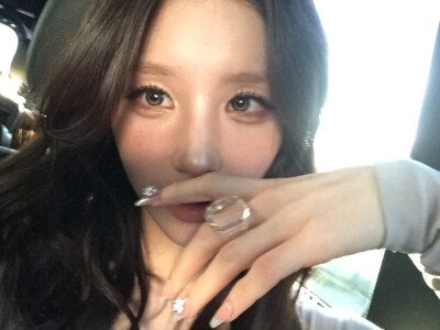 田姬振