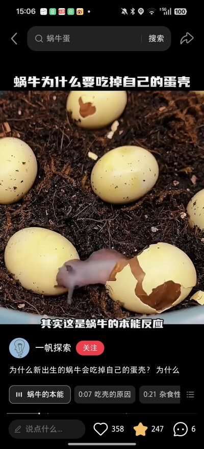。