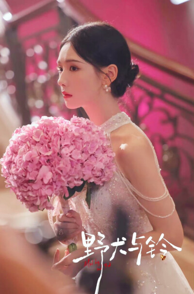 王云云