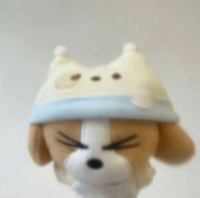 审萌积累