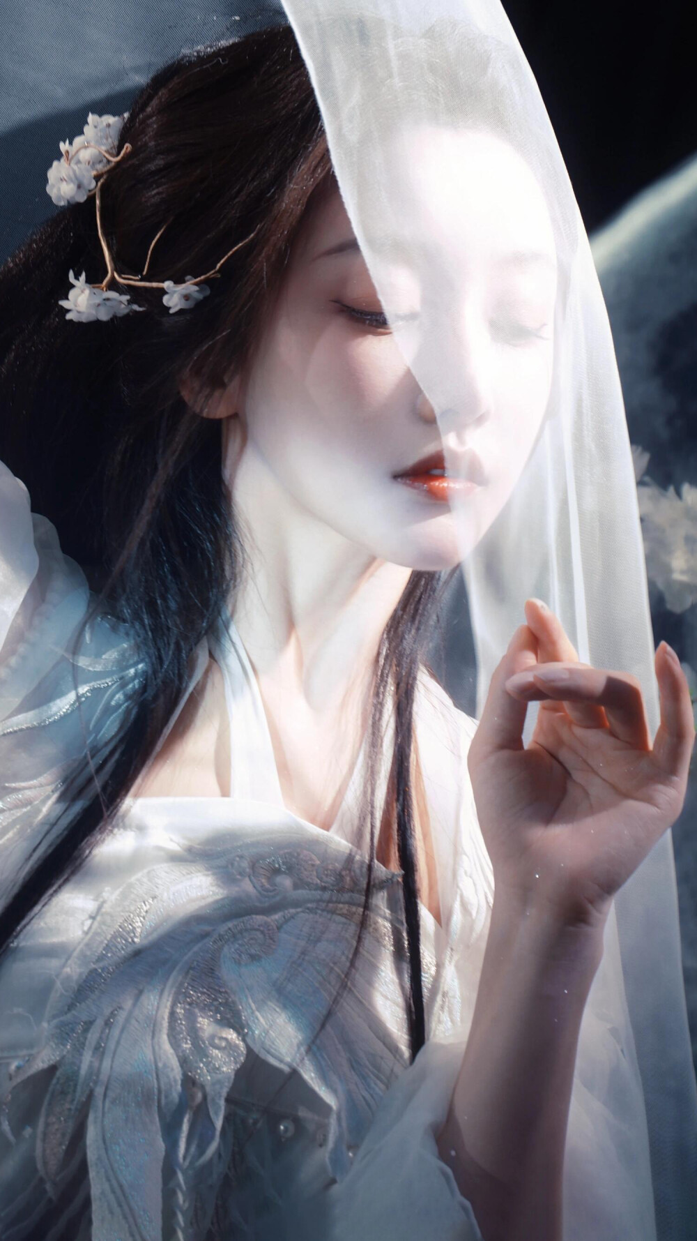 姜贞羽