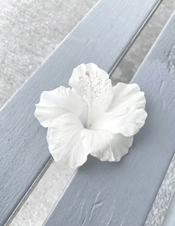 绵绵雨