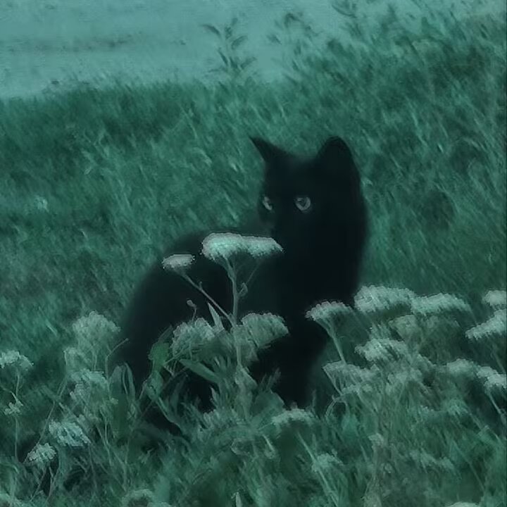 青绿色