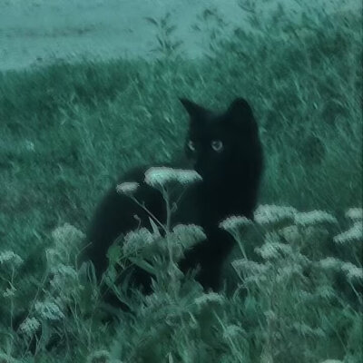 青绿色