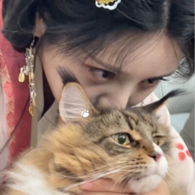 萌萌