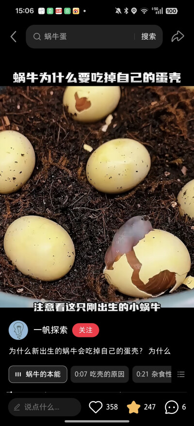 。