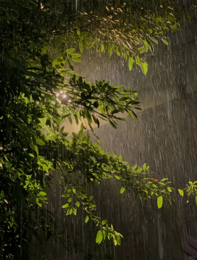 雨天背景图 绿色系背景图