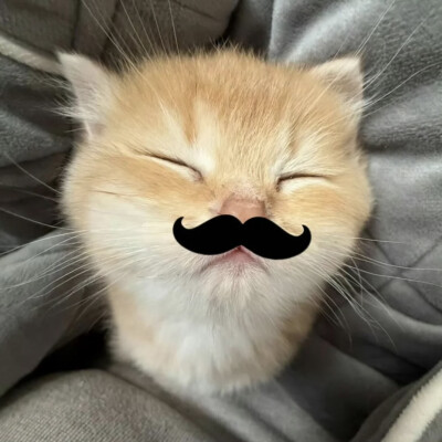 XIAOGOU 